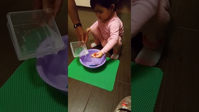 Сафия. Рыбки плавают у нас ☺☺☺ смотреть онлайн