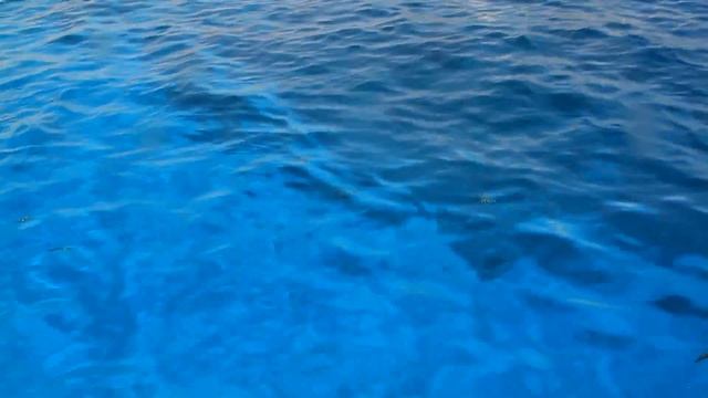 Ras Mohammed. Egypt. Заповедник Рас - Мухаммед. Шарм эль Шейх смотреть онлайн