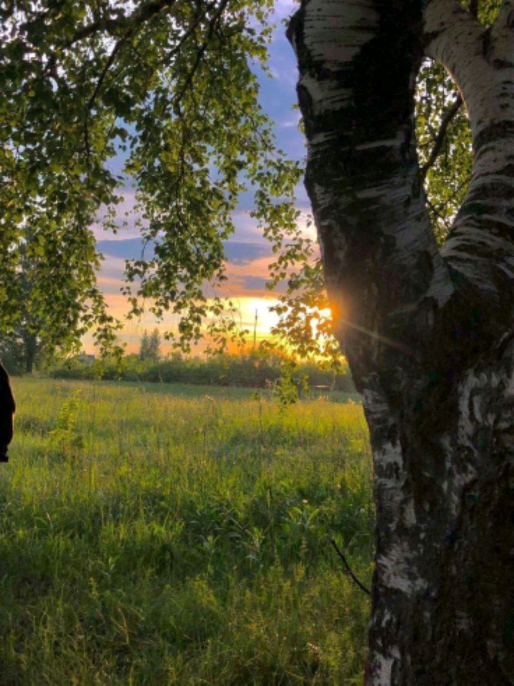 Йога-утро ☀️ смотреть онлайн