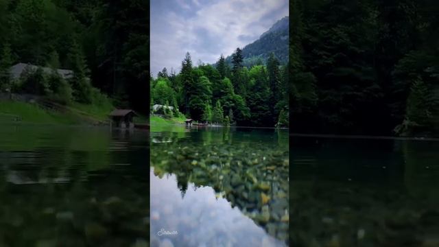 short story Video ❤️❤️❤️😊 смотреть онлайн