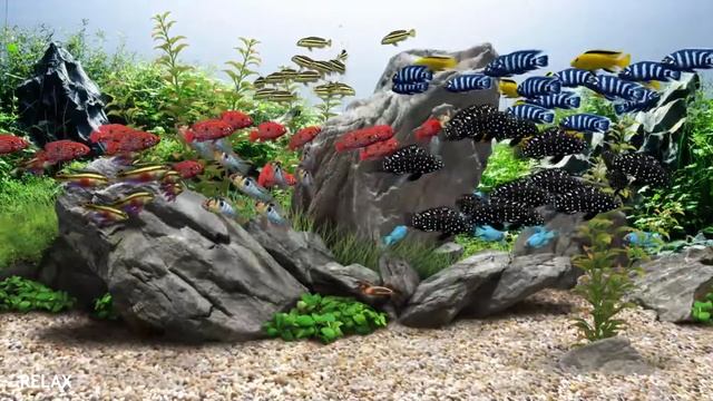 Музыка для сна. Аквариум с рыбками. Музыка для успокоения и расслабления тела. Релакс смотреть онлайн