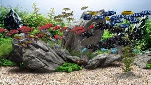 Музыка для сна. Аквариум с рыбками. Музыка для успокоения и расслабления тела. Релакс