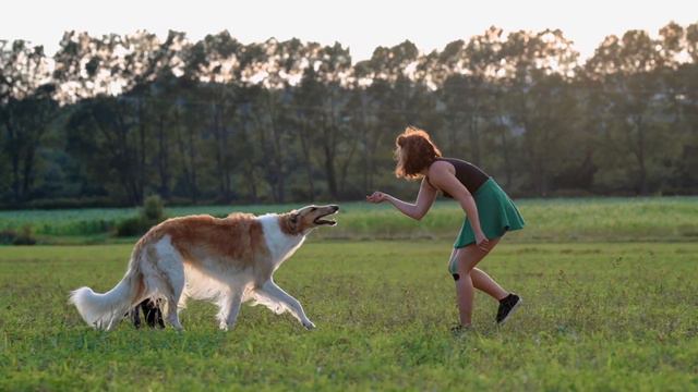 Borzoi Boyz - Short Puppy Video