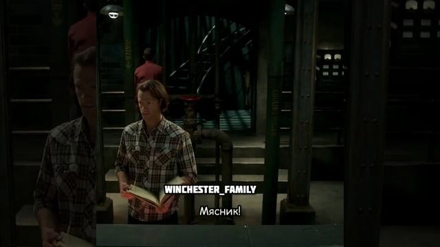 Пора есть бургеры? #shorts #supernatural #динвинчестер #сэмвинчестер #рекомендации #respect смотреть онлайн
