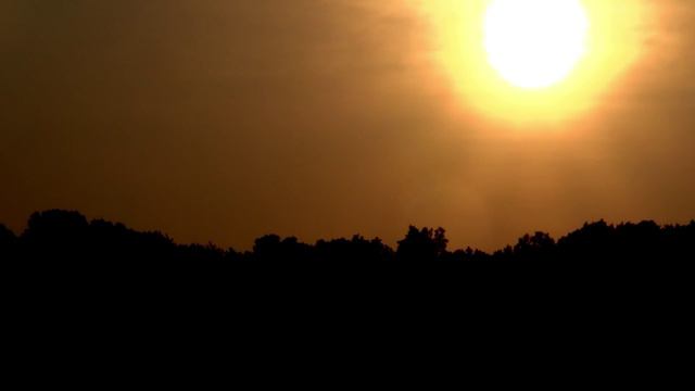 DR Techinnovate отзывы и обзор о компании