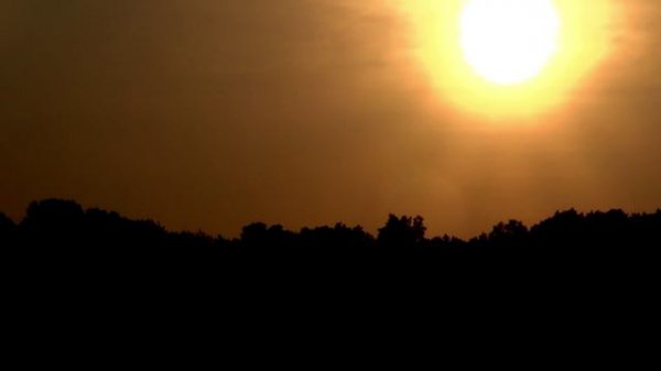 DR Techinnovate отзывы и обзор о компании