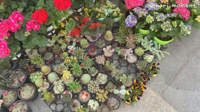 ENG) DIET VLOG [?일주일간 다이어트식단기록] 47kg를 향하여 | 보통에서 마름으로 | 맛있는 다이어트 브이로그