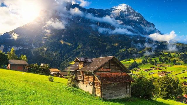 Эту музыку можно слушать вечно! Самая красивая мелодия на свете! Цветы красиво распускаются #9 смотреть онлайн