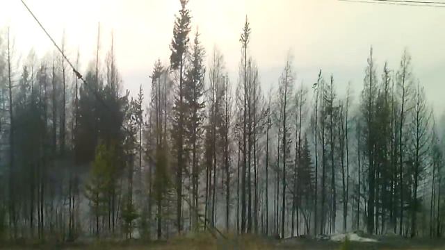 город в огне3 山火事 смотреть онлайн