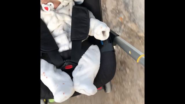 Прогулка с рёберном ,Вопрос-ответ🥰✊🏻Реборн Миа🤪🦊 смотреть онлайн