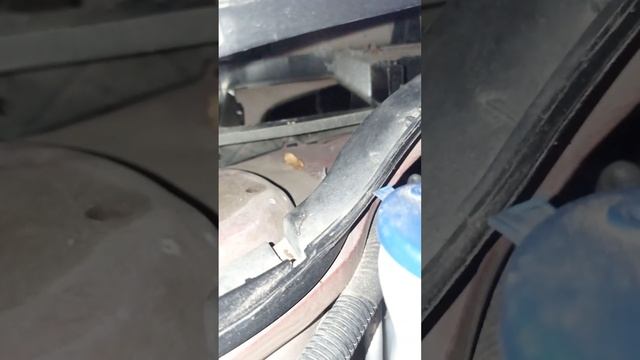 citroen C3. Seu ar condicionado não está gelando? veja o que pode ser. смотреть онлайн