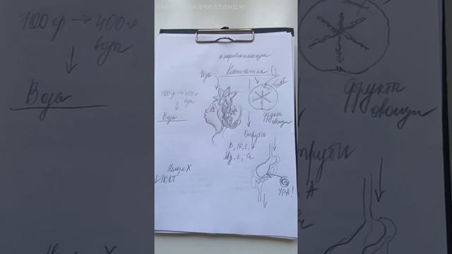 Сказка про Иду и слизь в кишечнике смотреть онлайн