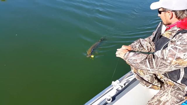 Джерк и джига на Иртыше. смотреть онлайн