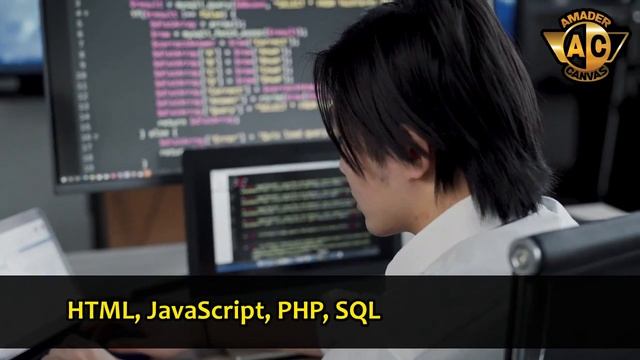 Best Programming Language for Ethical Hacking | Programming for Ethical Hacking | Amader Canvas смотреть онлайн