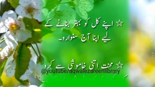 7 Best Aqwal e zareen in Urdu | Best Quotes in Hind | Golden words in urdu | Aqwal e zareen смотреть онлайн