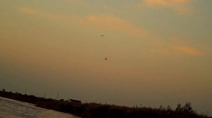 Как правильно целиться в утку!Охота с подствольной камерой Shotkam!