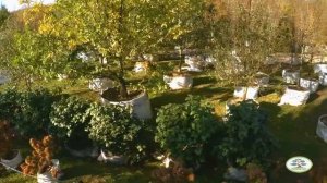 Питомник у причала Рублевский парк.