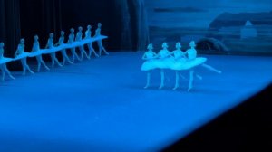 «Лебединое озеро», танец маленьких лебедей #большойтеатр #ballet