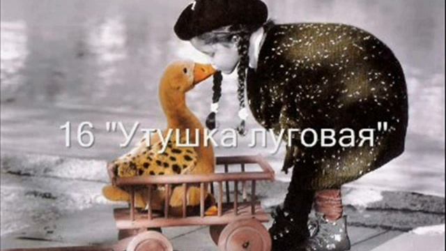 "Утушка луговая" (В.Иванов) смотреть онлайн