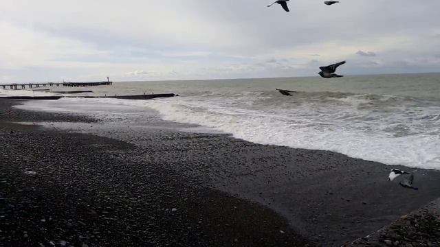 Адлер. Море. Шторм. 30 марта 2023. смотреть онлайн