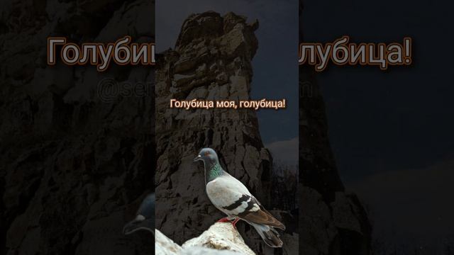 Духовный стих положенный на третий тропарный глас смотреть онлайн