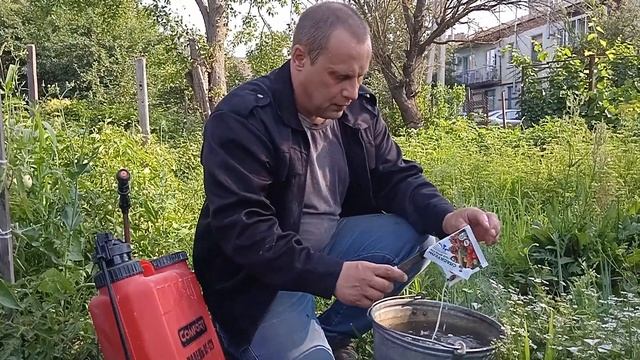 Помогите Советом Спасти помидоры! Гусеница замучила..Какая? смотреть онлайн