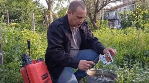 Помогите Советом Спасти помидоры! Гусеница замучила..Какая?