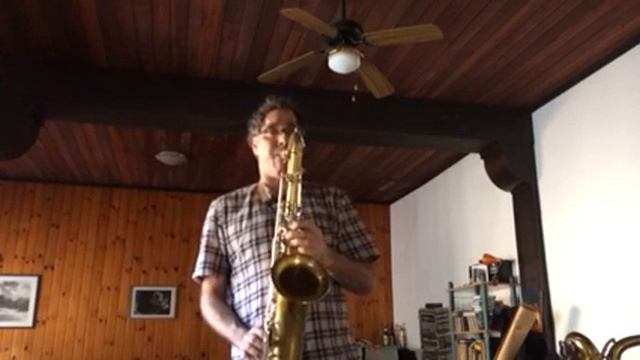 Vito/yamaha yts-21 Tenor Sax смотреть онлайн