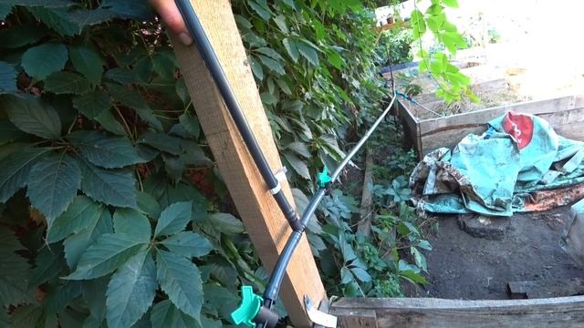 Полив на червячной ферме.