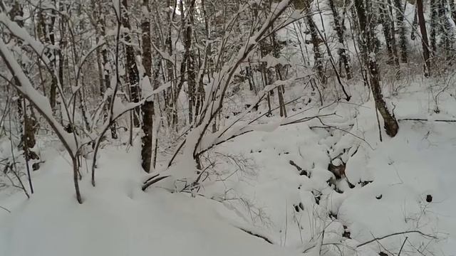 Зимний Мезмай, к водопаду "Алебастровый", декабрь 2018г смотреть онлайн