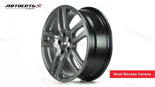 Обзор литого диска Skad Женева Селена ● Автосеть ●
