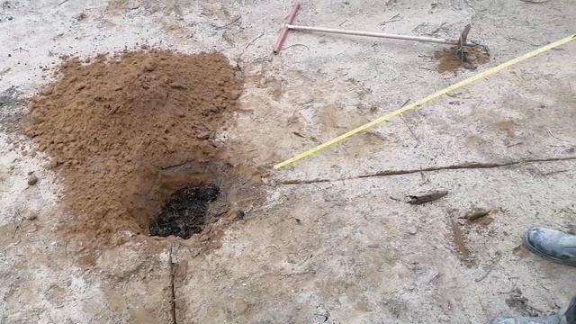 Высаживаем розы. Весна. 26 апреля 2023 смотреть онлайн