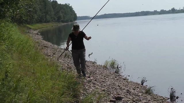 Амурская рыбалка 28.На р.Бурея поймали ленка, много хариуса и ... ДВА ТАЙМЕНЯ. смотреть онлайн