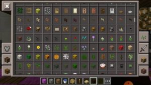 Строю себе дом в Омске  делаю крутой город