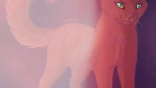 Белка (Squirrelflight) -Shape of you | Коты воители смотреть онлайн