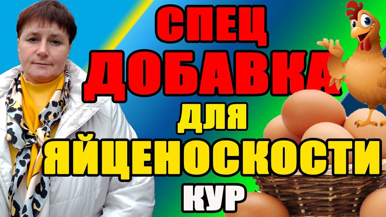 Специальная добавка для хорошей яйценоскости кур. смотреть онлайн