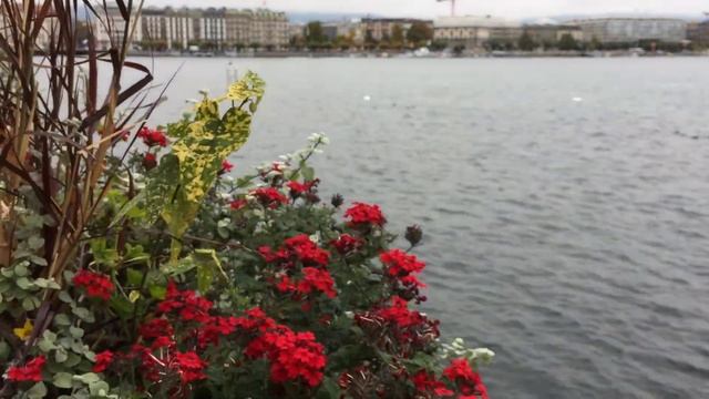 Женева / Швейцария смотреть онлайн