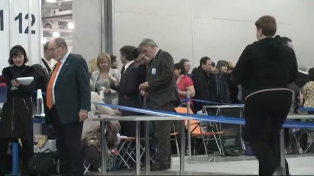 Евразия 2012 -1, открытый класс (кобели).mpg смотреть онлайн