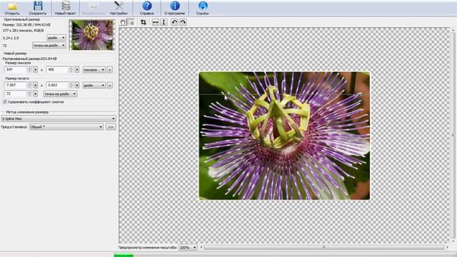 Photo Zoom Pro 3 смотреть онлайн