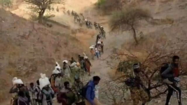 اثيوبيا: تقراي تزحف للعاصمة و تأسر الاف جديدة من الجيش.Ethiopia تصرخ للمجتمع الدولي انقذونا من تقرا смотреть онлайн