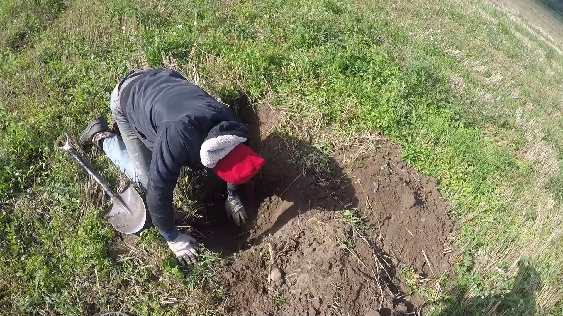 Коп на поле \ Отличное место смотреть онлайн