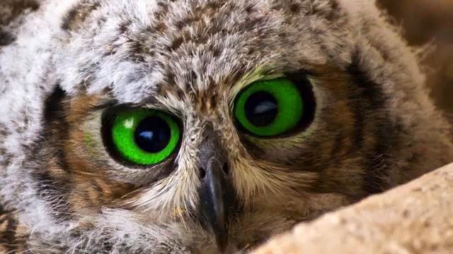 Русская поп музыка. Потрясающее видео. Океан любви! смотреть онлайн