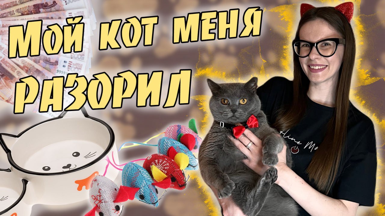 МОЙ КОТ МЕНЯ РАЗОРИЛ!? | РАСПАКОВКА смотреть онлайн