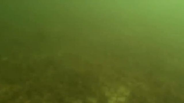 Блесна-Цикада Strike Pro серии Cyber Vibe (JG-005) смотреть онлайн