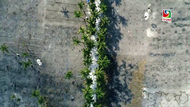 THODDOO - The island of Watermelon смотреть онлайн