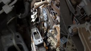 Замена грм и помпы пассат дизель