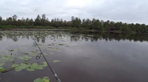 Ловлю щуку в траве на неогруженную резину! Отличный способ!