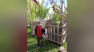 #беседка #своими #руками из #поддонов