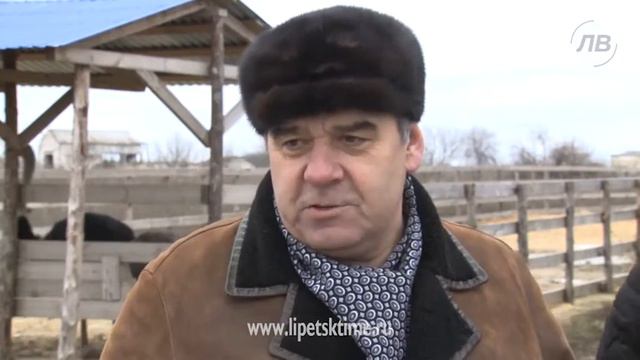 Туристический кооператив появится в Добринке смотреть онлайн