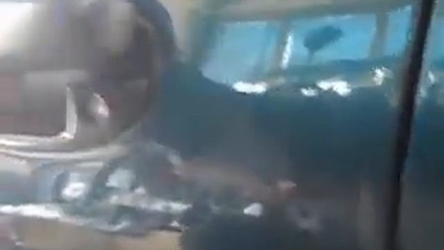 Део сенс ланос безшумні замки дверей ДО переделки! смотреть онлайн